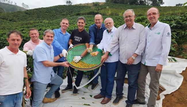 Espírito Santo inicia colheita da safra 2025 de café arábica