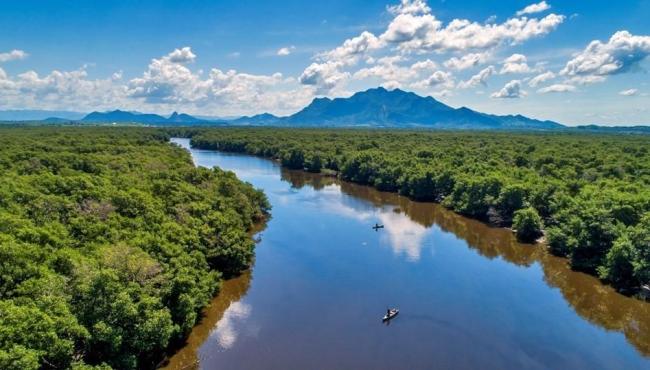 Espírito Santo institui Política Estadual de Biodiversidade e lança novo programa de conservação ambiental