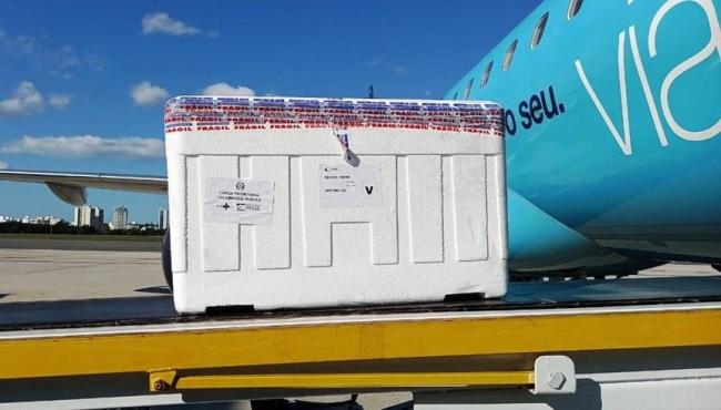 Espírito Santo recebeu mais de 150 mil doses da Fiocruz para segundas doses 