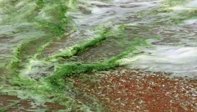 Espuma verde é registrada no mar de Manguinhos, na Serra, ES