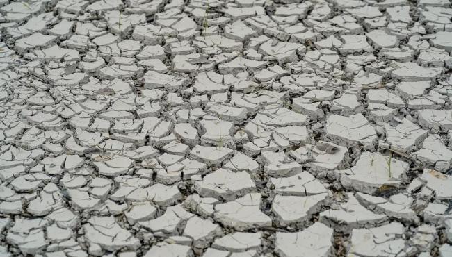 Estiagem: quinze cidades têm situação de emergência decretada