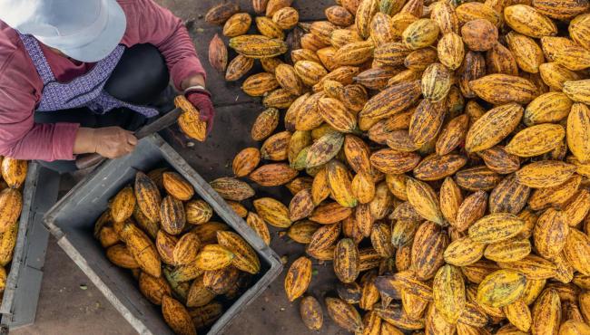 Experiências inovadoras no agroturismo valorizam o trabalho no campo e colocam produtores rurais como protagonistas do turismo no ES