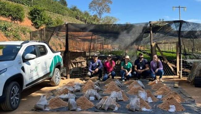 Experimento com substratos sustentáveis busca reduzir custos da produção de mudas de café