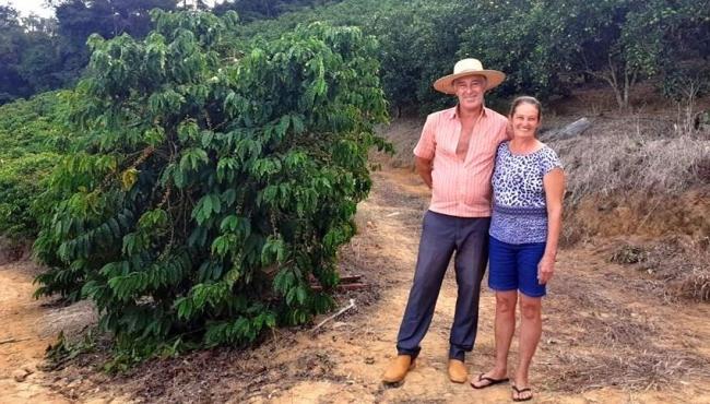 Família produz café e citros e diversifica renda com auxílio do Incaper