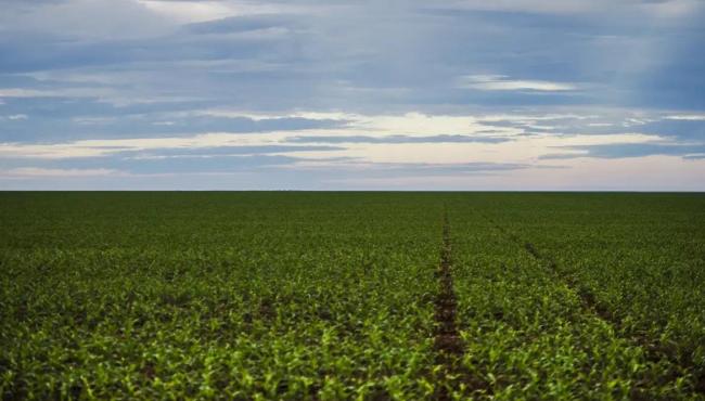 Fazenda estuda Fundo Garantidor para dívidas rurais