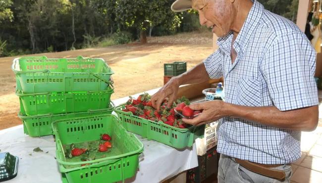 Finep vai pagar R$ 220 milhões para inovações em agricultura familiar