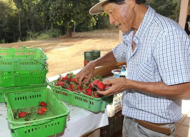 Finep vai pagar R$ 220 milhões para inovações em agricultura familiar