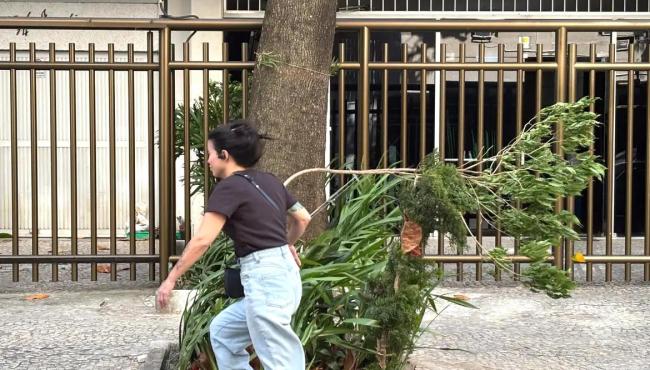 Formação de ciclone próximo à Região Sul traz ventos costeiros