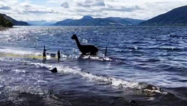 Foto recente do monstro do lago Ness na verdade era alpaca fugitiva: ‘Não foi desta vez!’