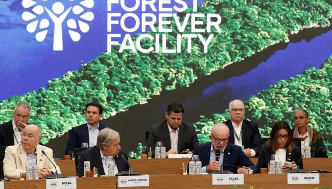 Fundo para florestas tropicais atinge aporte de US$ 5,5 bilhões