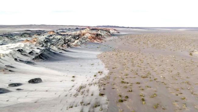 Fungos podem restaurar terras degradadas e combater crise climática