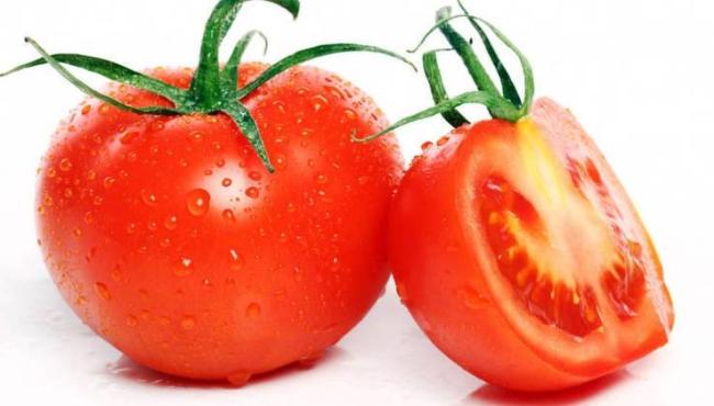 Futuro do tratamento contra o câncer pode estar no tomate e na batata