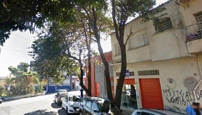 Gari é encontrado morto pendurado preso em fiação elétrica em árvore, em são Paulo