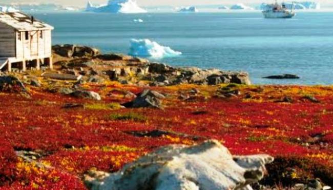 Gelados, como as águas do ártico?