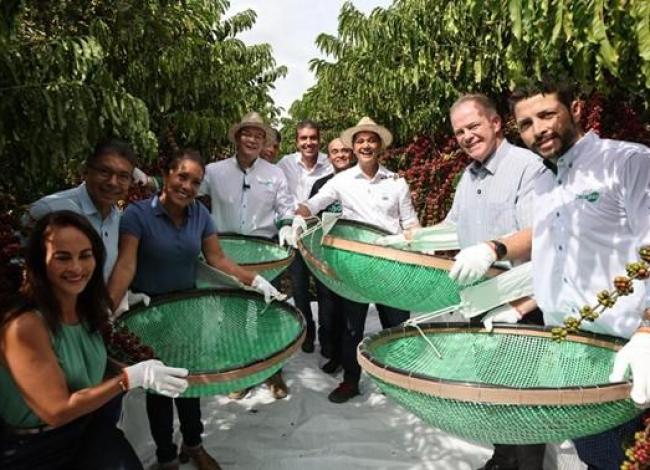 Governador Ricardo Ferraço abre oficialmente a colheita do café conilon no Espírito Santo