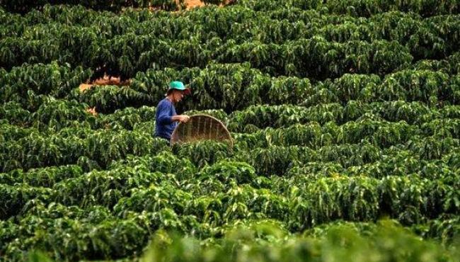 Governo anuncia R$ 1,3 bi para retomada econômica rural da Bacia do Rio Doce