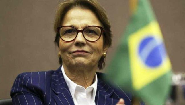 Governo deve lançar programa para produção de fertilizantes neste mês