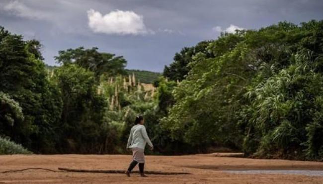 Governo do Brasil lança edital de Florestas Produtivas com Barraginhas para comunidades rurais do Rio Doce