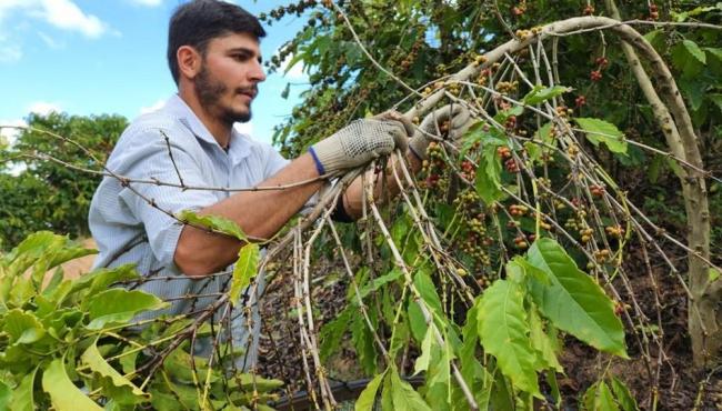 Governo do ES publica novo decreto para fomento a negócios de impacto socioambiental