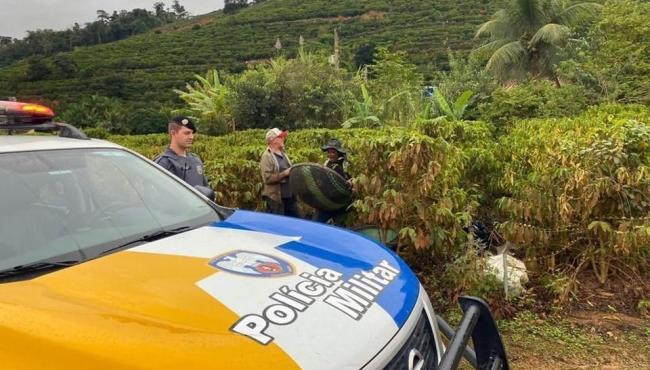 Governo do Espírito Santo lança Operação Colheita 2023