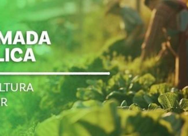 Governo do Espírito Santo publica chamada pública para compra de alimentos da agricultura familiar