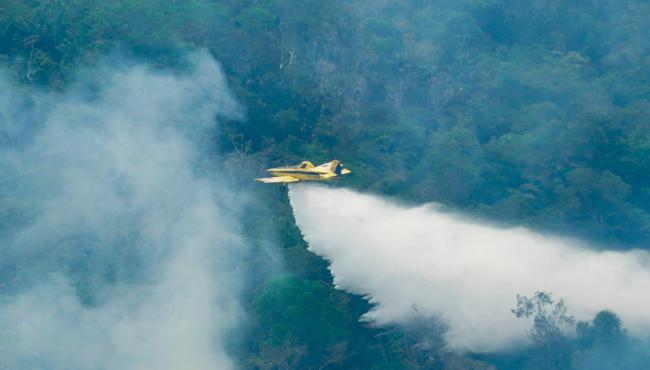 Governo Federal amplia combate aos incêndios no Amazonas com reforço de aeronaves, forças de segurança e apoio militar