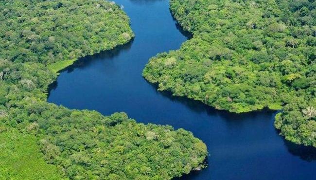 Governo federal quer "obter o controle" de ONGs que atuam na Amazônia