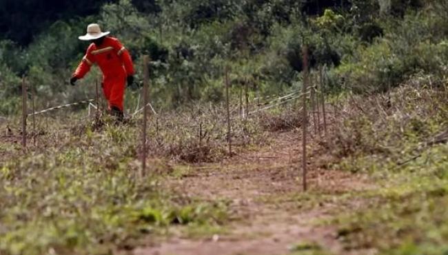 Governo repassa mais de R$ 35 milhões para retomada econômica de comunidades rurais da Bacia do Rio Doce