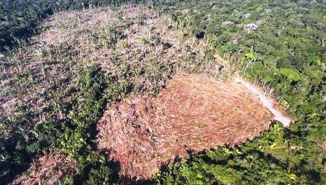 Governo vai oferecer crédito para produtos que preservam meio ambiente