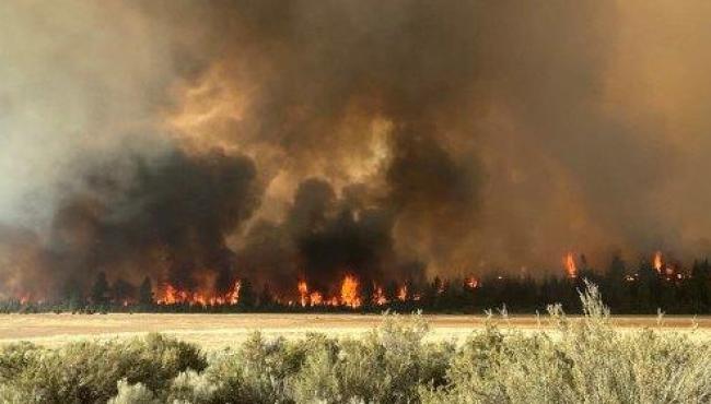 Grande incêndio florestal cresce nos EUA e desaloja população