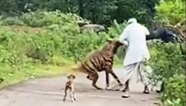 Hiena ataca dois homens na Índia