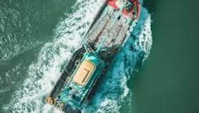 IBP amplia agenda de equidade de gênero com segundo ciclo do “O Mar Também É Delas”