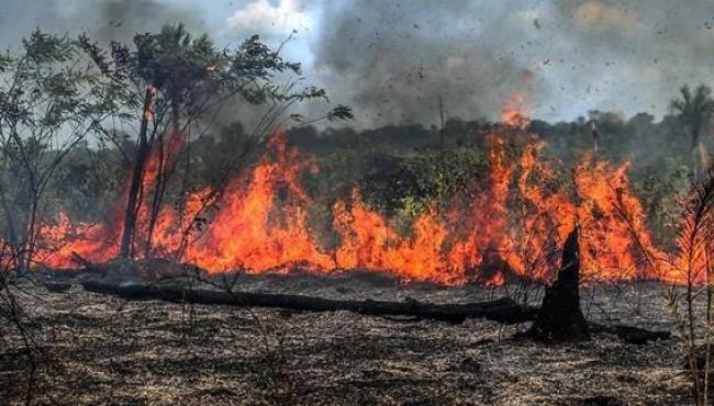 Idaf reforça ações de combate a queimadas ilegais em período de estiagem, no ES