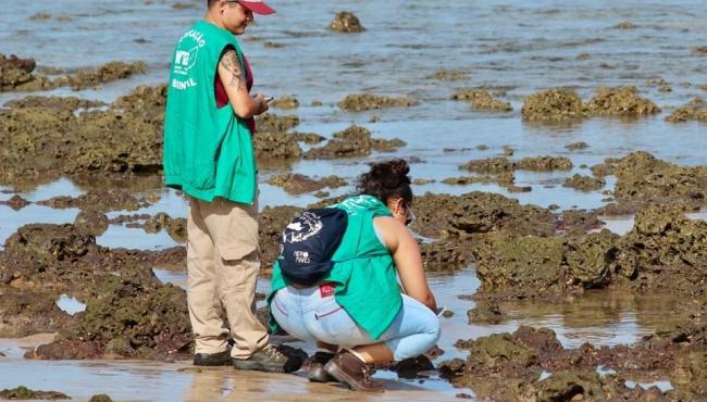 Iema abre inscrições para Programa de Voluntariado no Parque Estadual de Itaúnas, em Conceição da Barra, ES