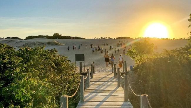 Iema divulga nomes dos selecionados do Programa de Voluntariado do Parque Estadual de Itaúnas, em Conceição da Barra, ES