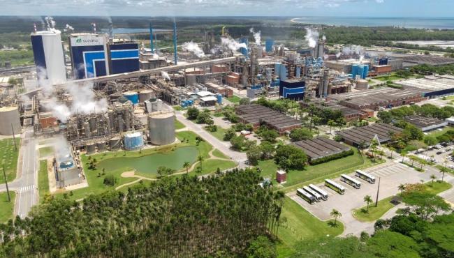 Ifes e Suzano abrem inscrições para Especialização Técnica em Produção de Celulose em Aracruz, no ES