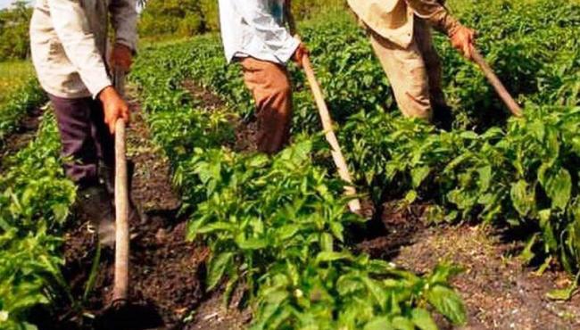 Incaper anuncia novidades para ampliação de crédito rural