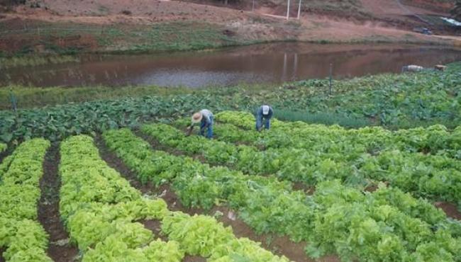 Incaper divulga nova publicação do Boletim Agroclimático
