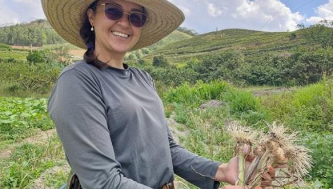 Incaper e Embrapa impulsionam renascimento da produção de alho no Espírito Santo