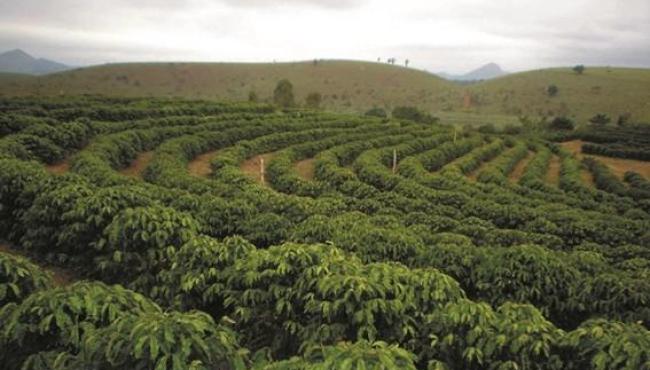 Incaper prevê chuvas dentro da média e temperaturas acima do normal em março no Espírito Santo