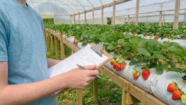 Incaper vai desenvolver 14 novos projetos de iniciação científica com estudantes da rede pública do Espírito Santo
