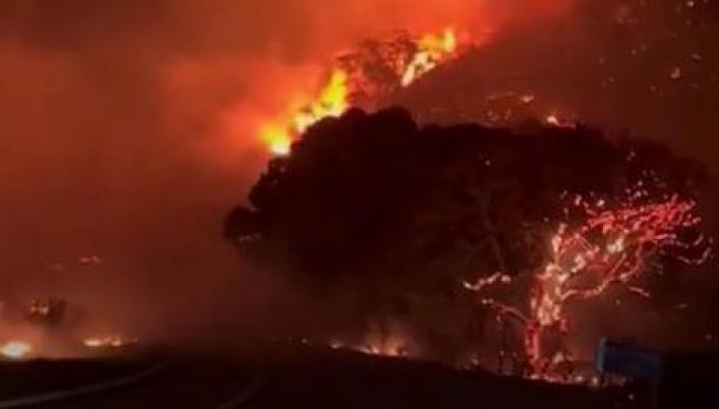 Incêndio de grandes proporções atinge área de mata em Colatina, ES