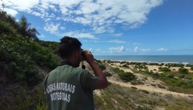 Inscrições para Programa de Voluntariado no Parque Estadual de Itaúnas em Conceição da Barra, no ES, seguem até o dia 23