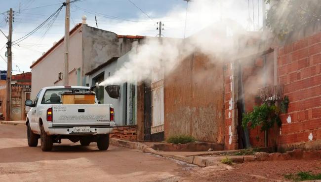 Ivermectina não é eficaz contra dengue, alerta Ministério da Saúde