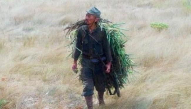 Japonês ficou escondido na selva por 30 anos sem saber do fim da 2ª Guerra