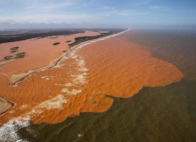 Justiça de Minas Gerais inicia audiências sobre rompimento de barragem em Brumadinho