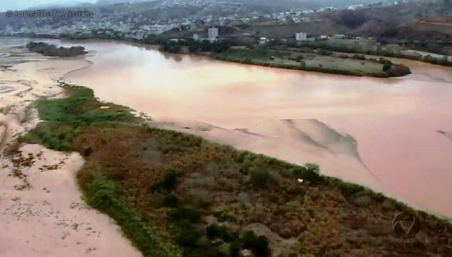 Laudo aponta que peixes do Rio Doce continuam contaminados