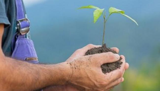 Linha de crédito para baixo carbono do Bandes é diferencial para empresários capixabas