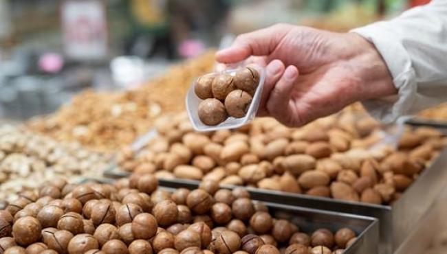 Macadâmia capixaba: a produção da noz cresce e conquista o mercado internacional