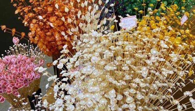 Maior Feira de Artesanato do Estado começa nesta sexta-feira (22)